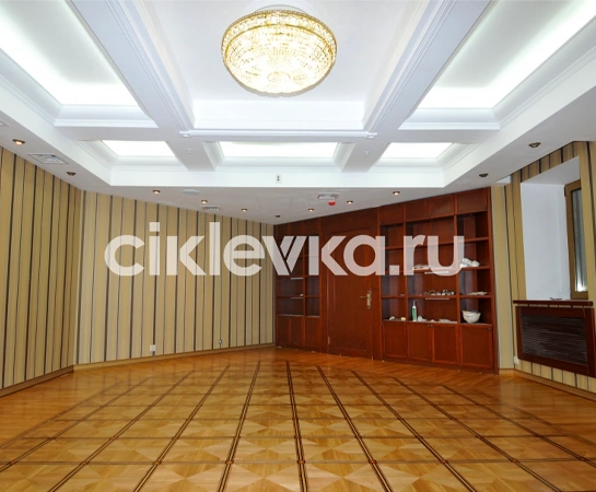 Приемная комната президента китайского банка (в здании Московской Областной Думы)